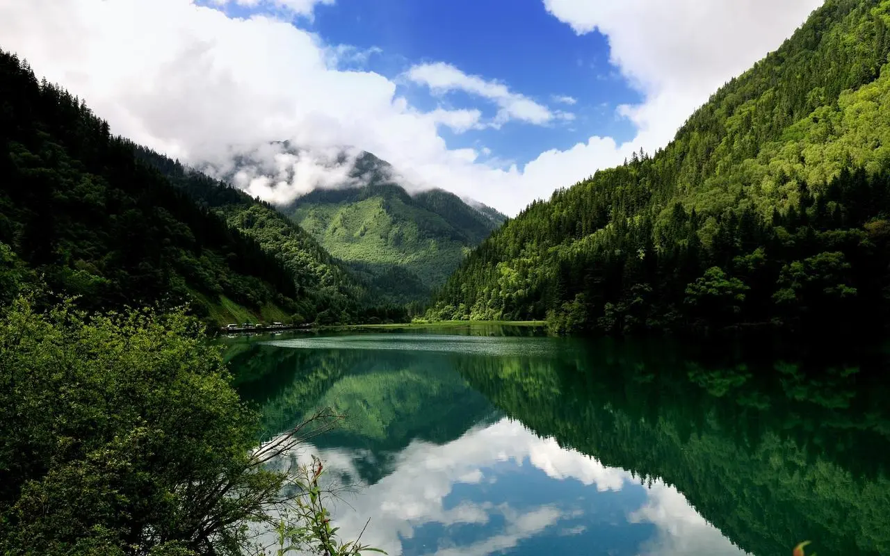 科技高效智能化